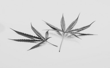 Детоксикация от наркотиков в Пудоже